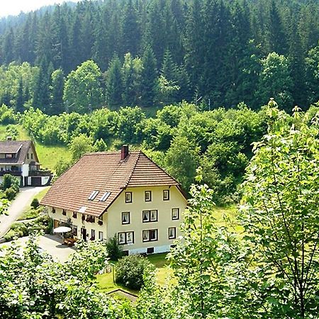 Apartament Country Style Flat With Garden Triberg im Schwarzwald Zewnętrze zdjęcie