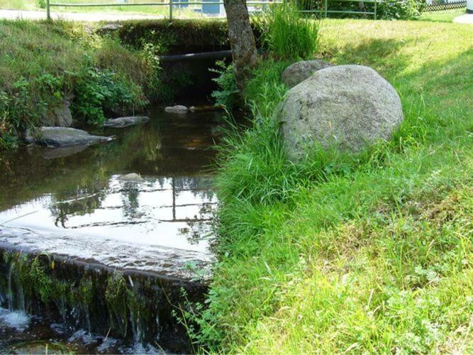Apartament Country Style Flat With Garden Triberg im Schwarzwald Zewnętrze zdjęcie